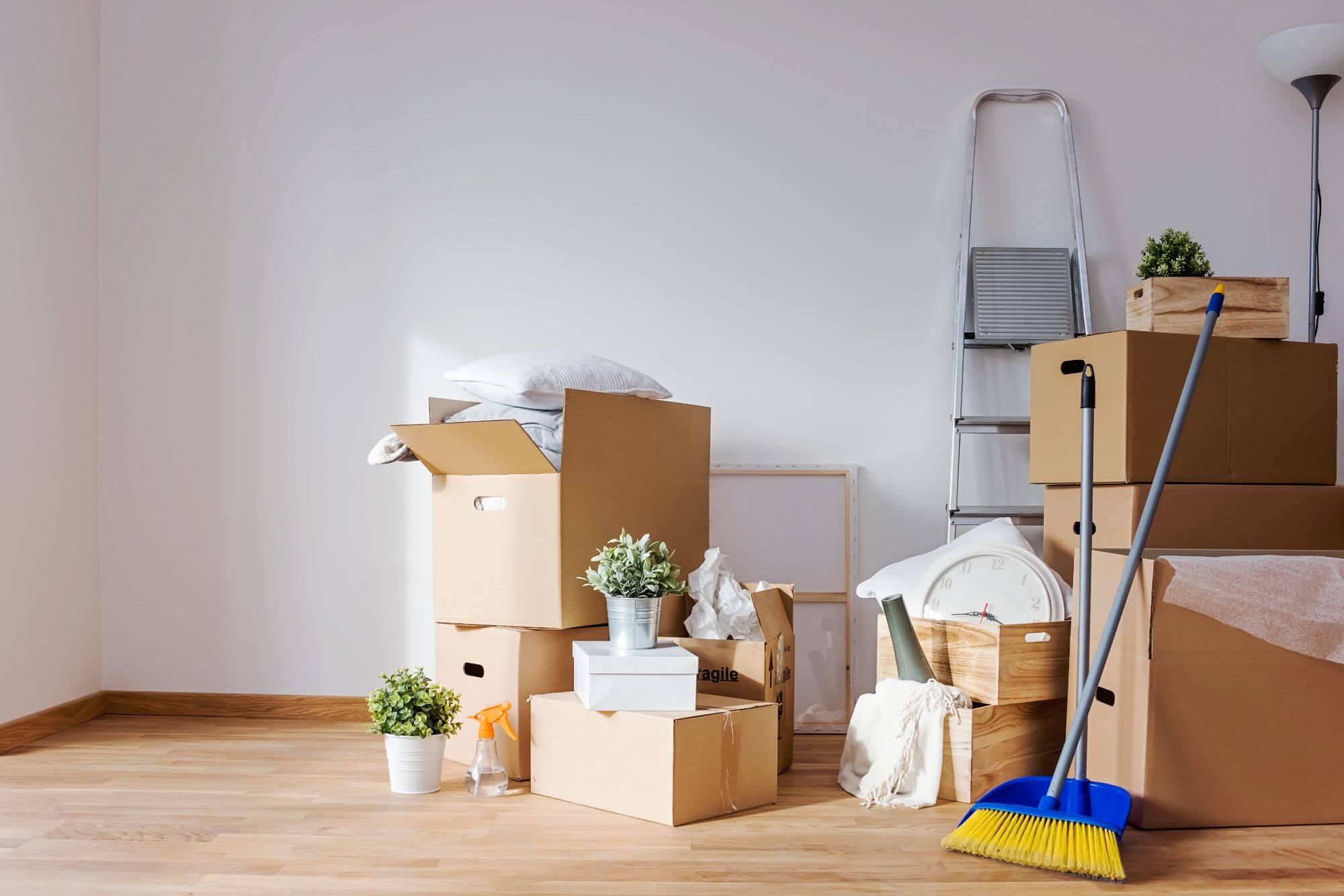 Professional move in move out cleaning services in Fort Collins CO