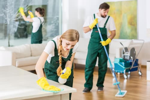 Where in Fort Collins can I book a thorough move in cleaning service