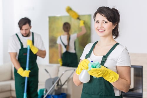 why should I hire professionals to clean my home